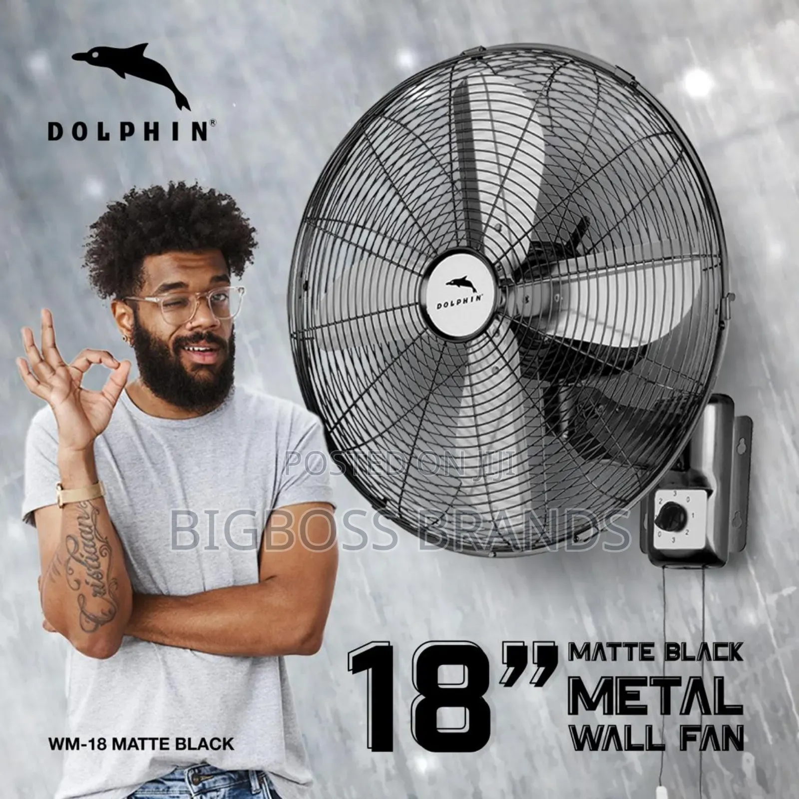 Dolphin  Wall Fan Size 18