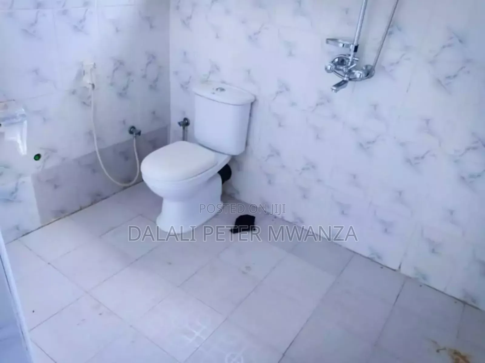 5bdrm House in Bwiru, Ilemela for rent