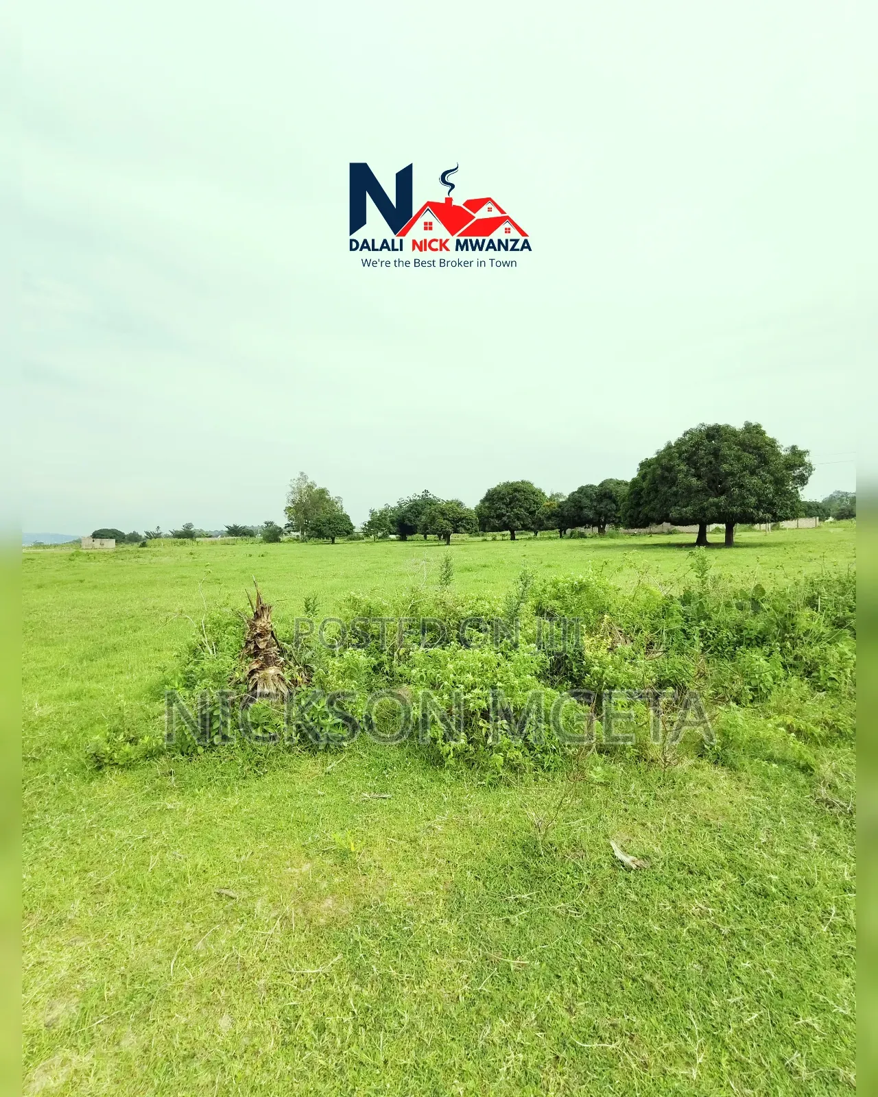 Plot for Sale
