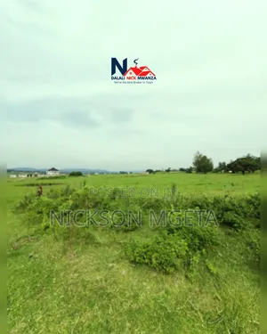 Plot for Sale