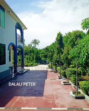 4bdrm House in Bwiru Boys, Ilemela for rent