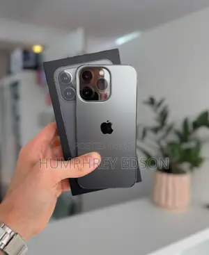 New Apple iPhone 13 Pro Max 256 GB Gray