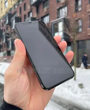 Apple iPhone 11 Pro 256 GB Black