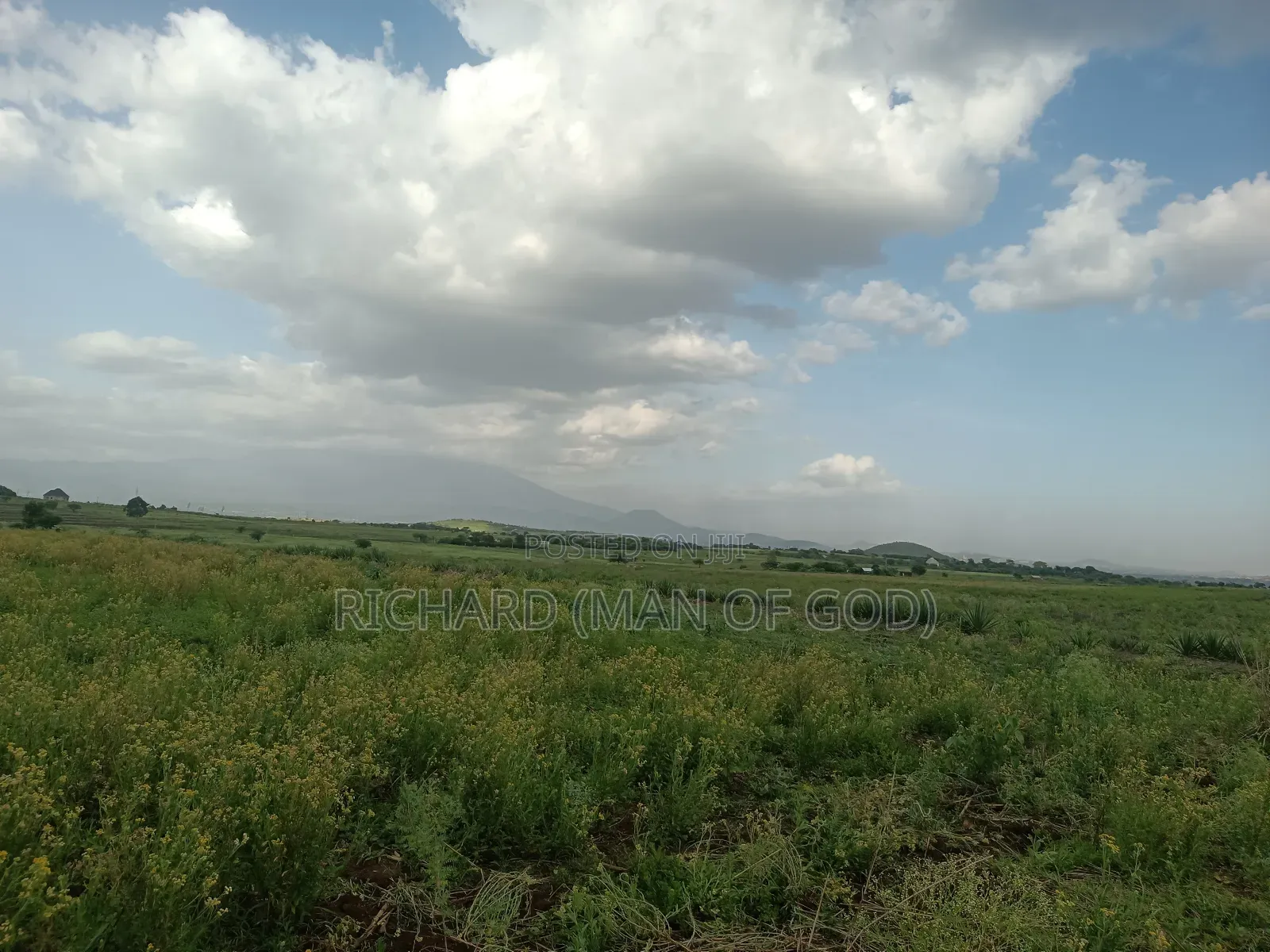 4.7 Acres Land in Mateves Area