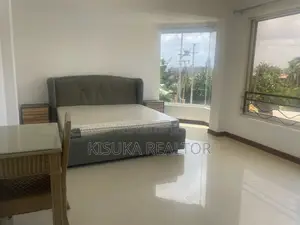 Furnished 3bdrm Apartment in Masaki for rent