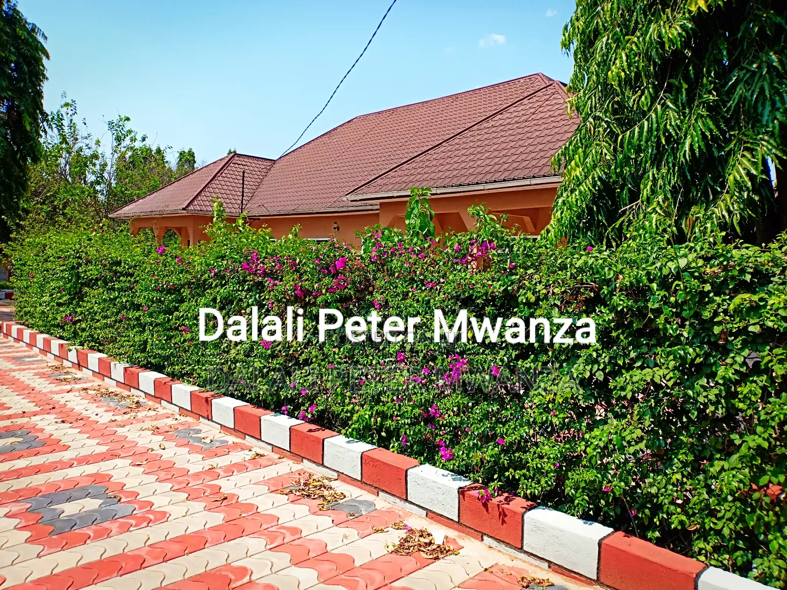 3bdrm House in Nyakato, Ilemela for rent