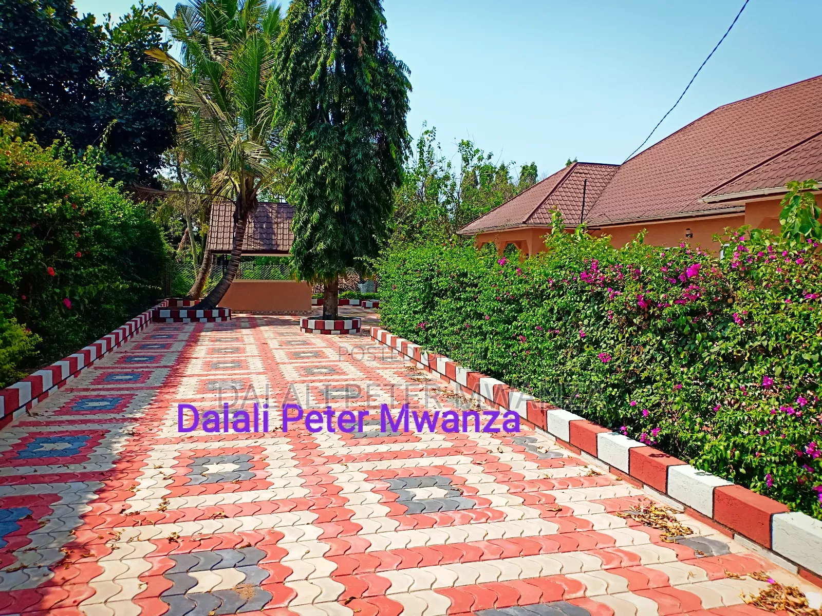 3bdrm House in Nyakato, Ilemela for rent