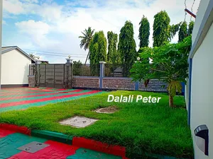3bdrm House in Airport Road, Ilemela for rent