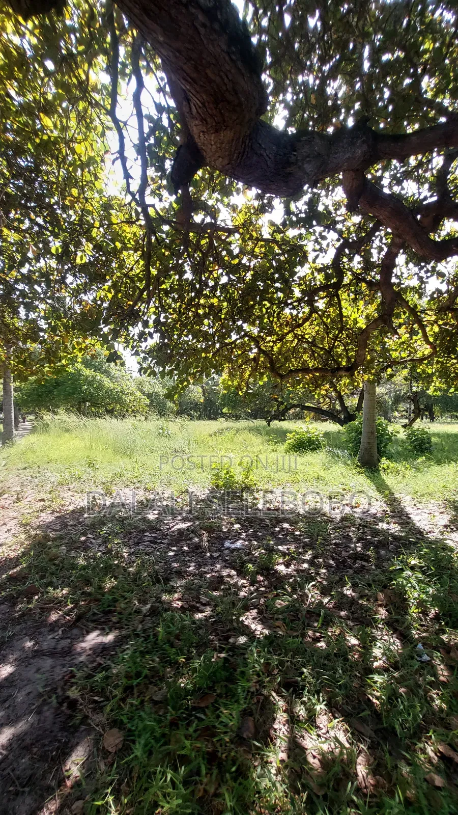 2hecta at Bagamoyo Mjini Full Document