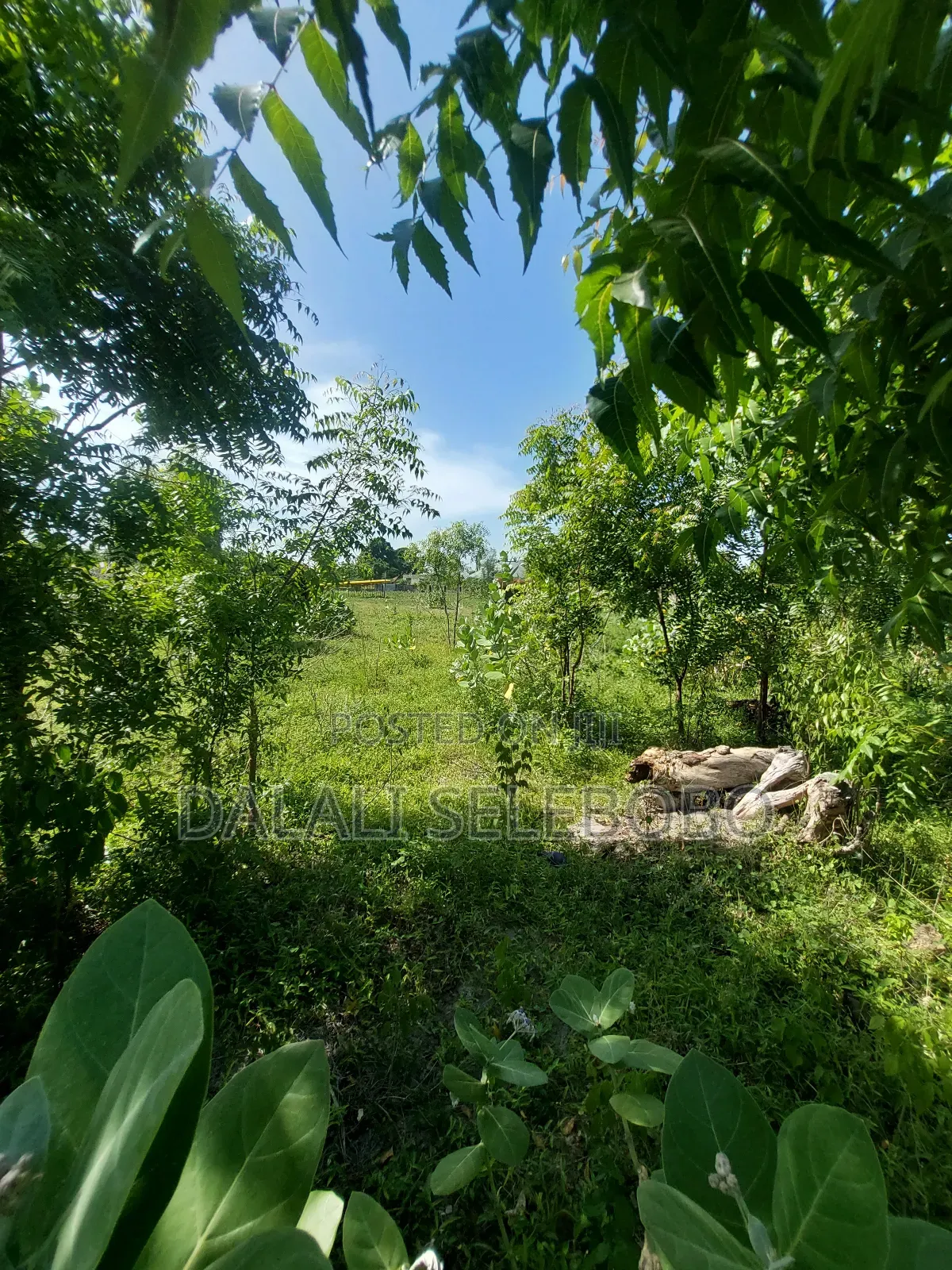 Plot Sale 1hecta at Bagamoyo Chemchem Mjini