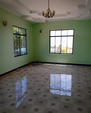 2bdrm House in Nyasaka, Ilemela for rent