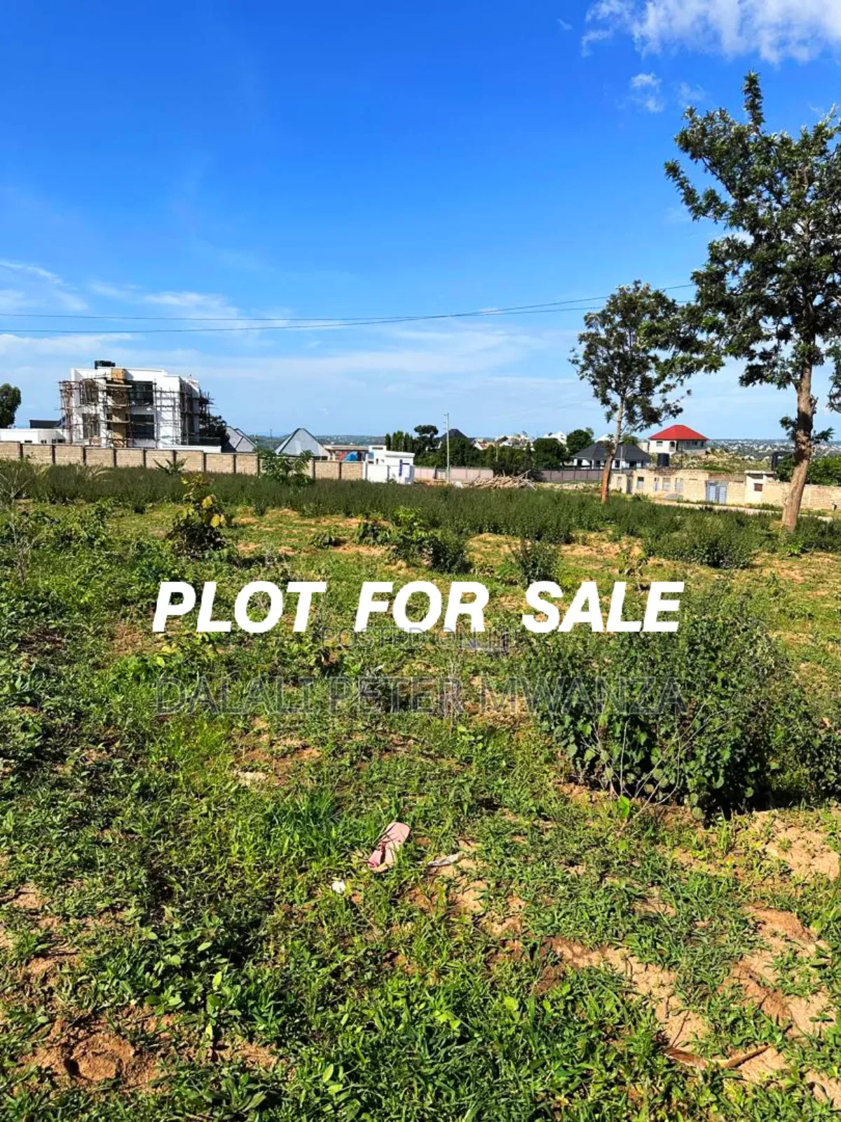Plot for Sale in Mwanza