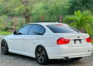 BMW 3 Series 320i RWD 2010 Pearl
