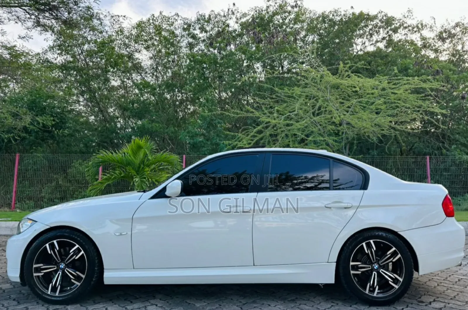 BMW 3 Series 320i RWD 2010 Pearl