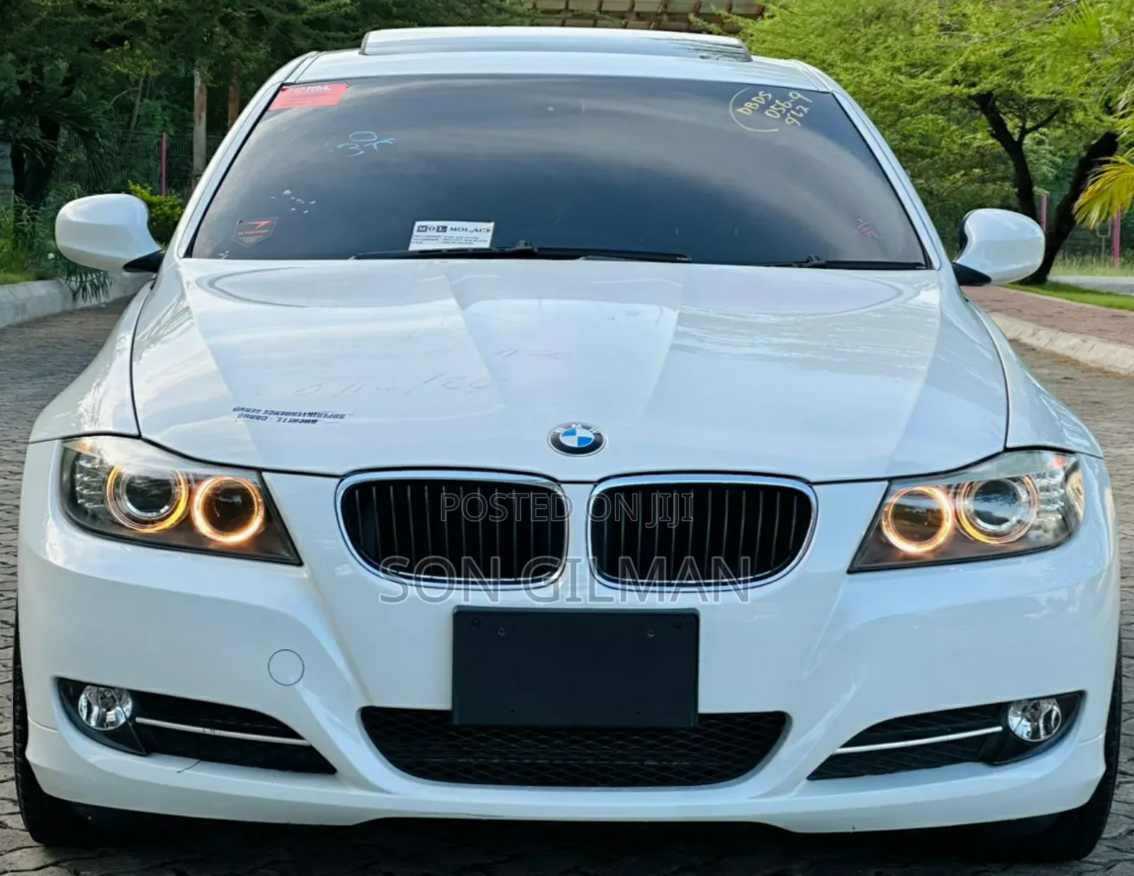 BMW 3 Series 320i RWD 2010 Pearl