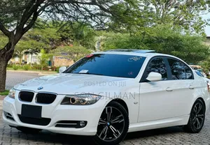 BMW 3 Series 320i RWD 2010 Pearl