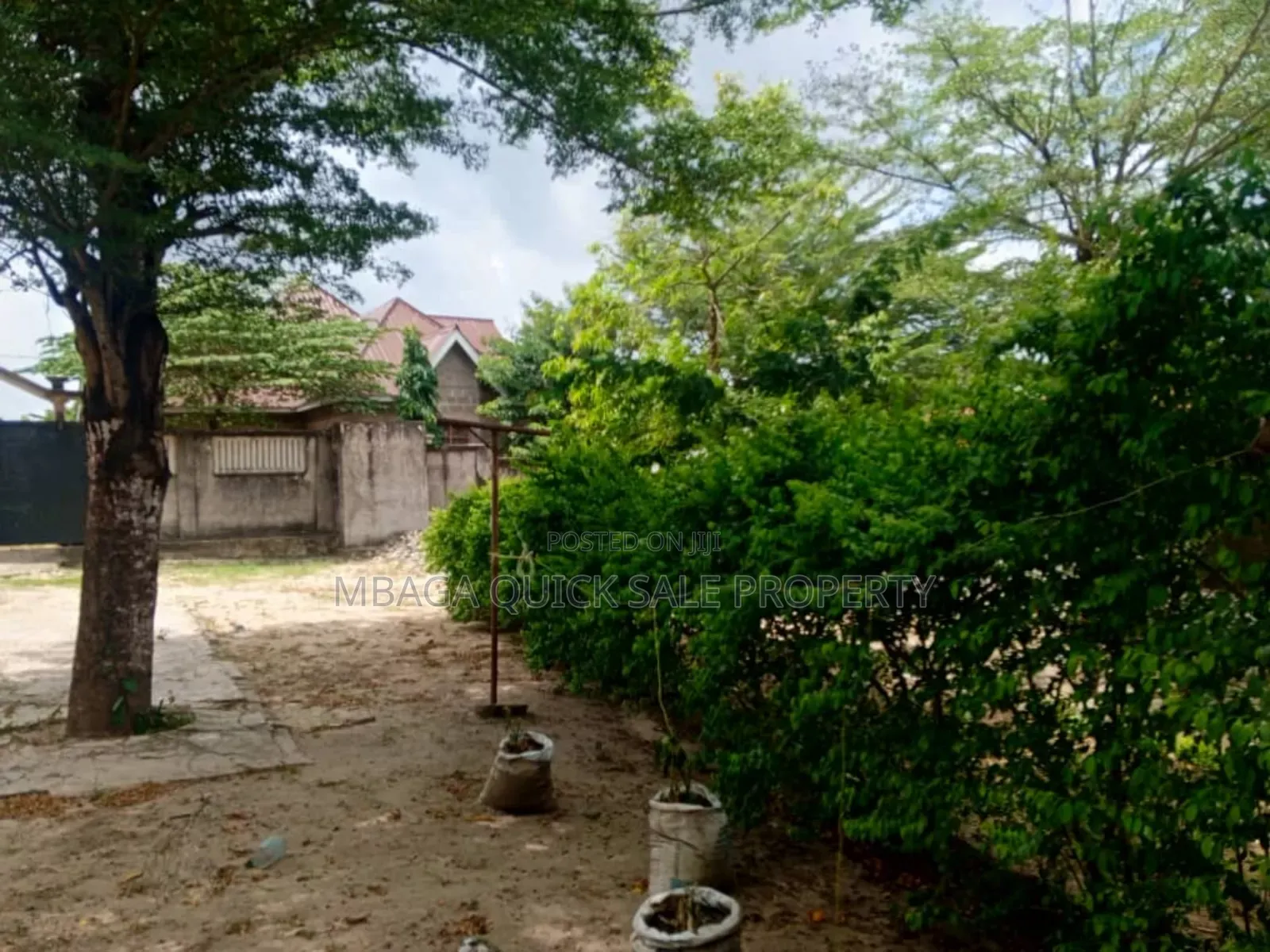 Yard Area SQM 3000 for Rent at Lugoda Gerezani