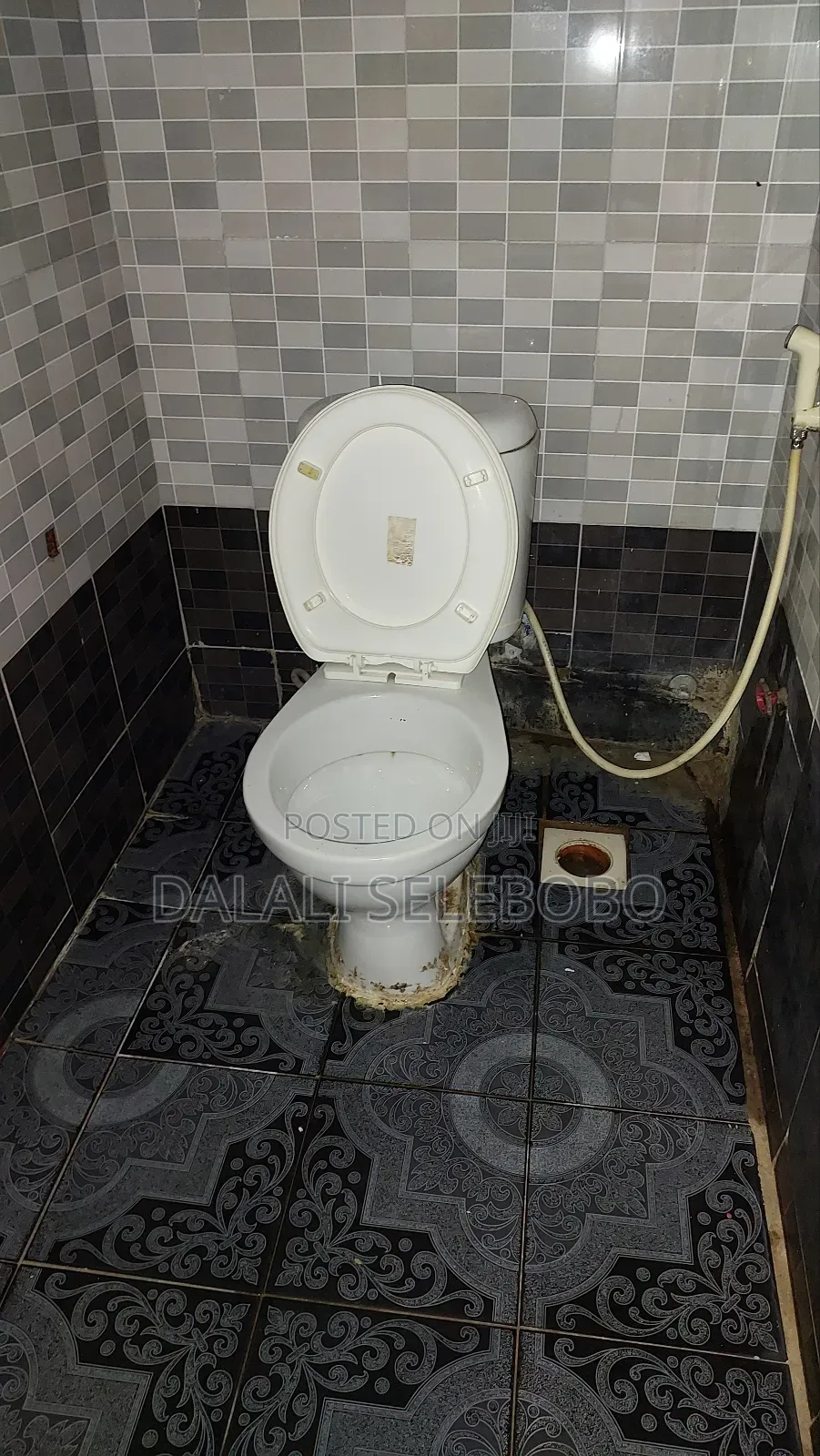 Furnished Mini Flat in Sinza Madukani for rent
