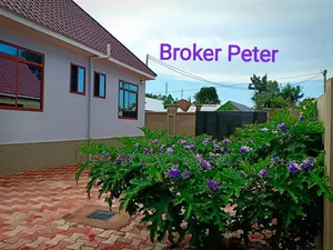 2bdrm House in Kiseke Road, Ilemela for rent
