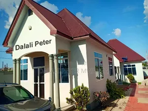 2bdrm House in Nyasaka Center, Ilemela for rent