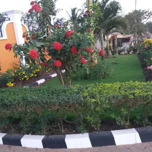 3bdrm House in Bwiru, Ilemela for rent