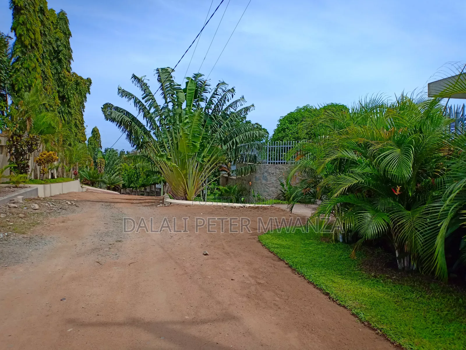 3bdrm House in Capripoint, Nyamagana for rent