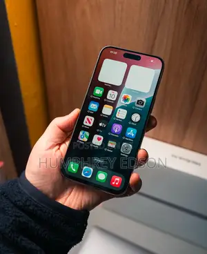 Apple iPhone 15 Pro Max 256 GB Gray