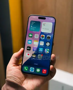 Apple iPhone 15 Pro Max 256 GB Gray