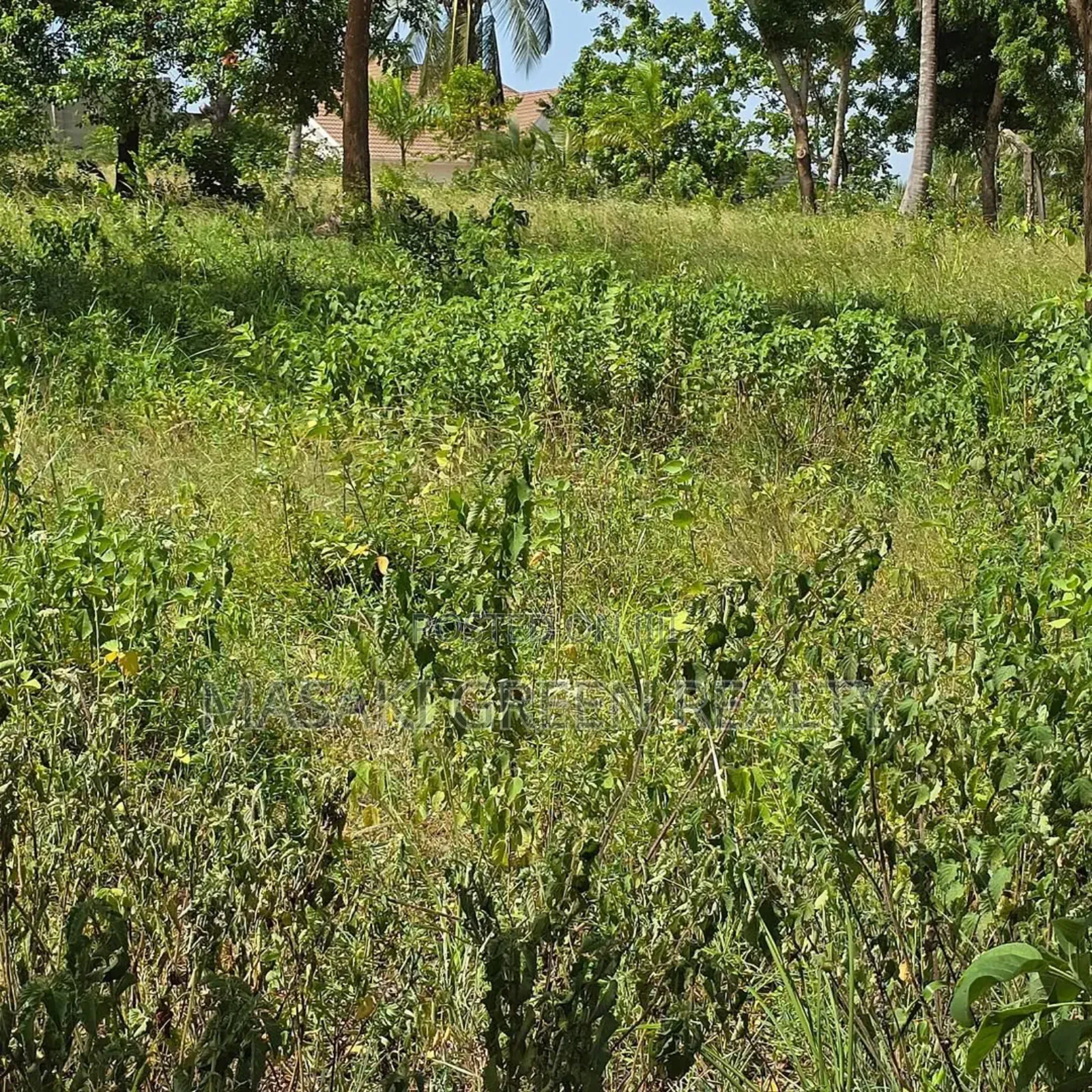 Plot for Sale at Goba