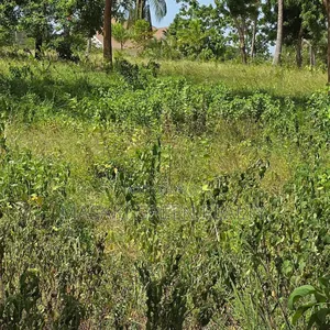 Plot for Sale at Goba