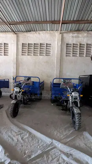 New Max-S 2024 Blue
