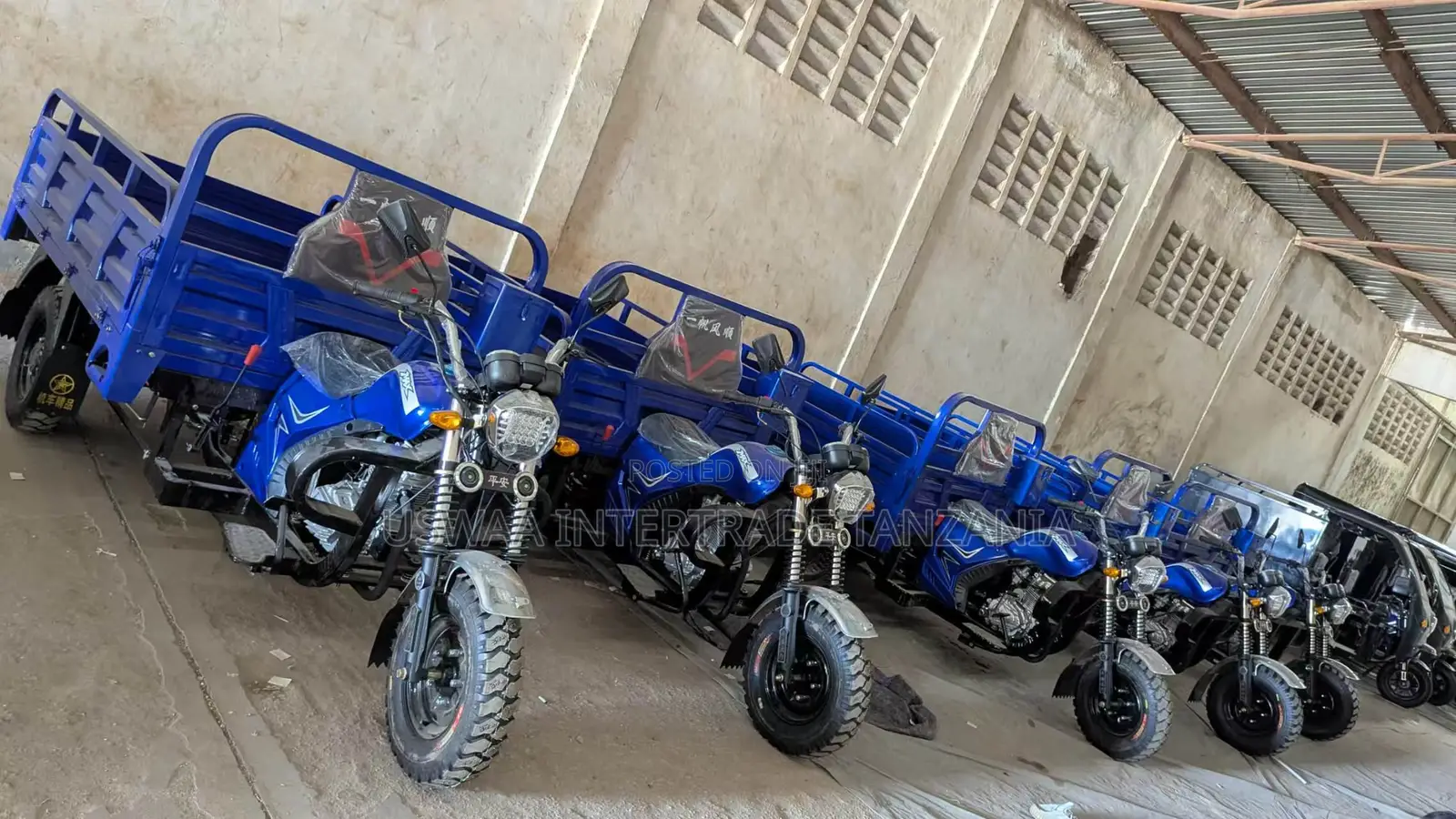 New Max-S 2024 Blue