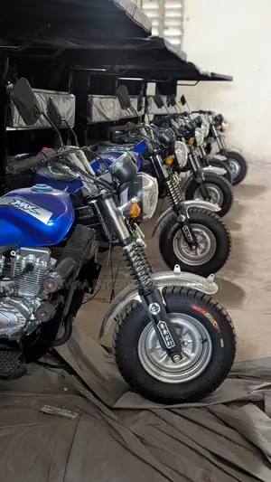 New Max-S 2024 Blue