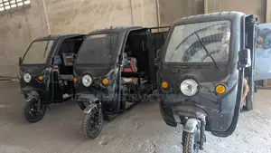 New Tricycle 2024 Black