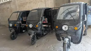 New Tricycle 2024 Black