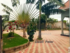 3bdrm House in Mkolani, Nyamagana for rent
