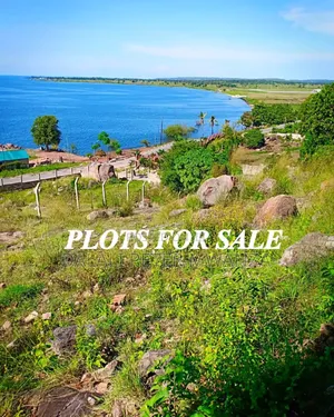 Near Airport Mwanza