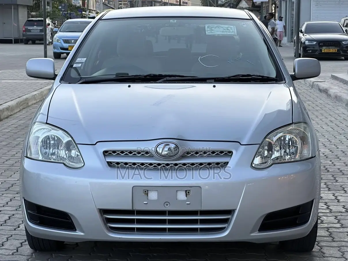 Toyota Allex 2004 Silver