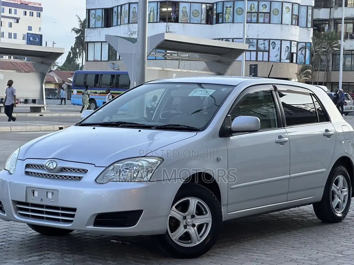 Toyota Allex 2004 Silver