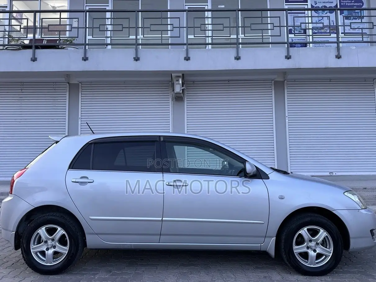 Toyota Allex 2004 Silver