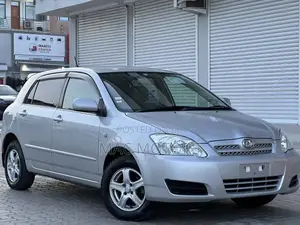 Toyota Allex 2004 Silver