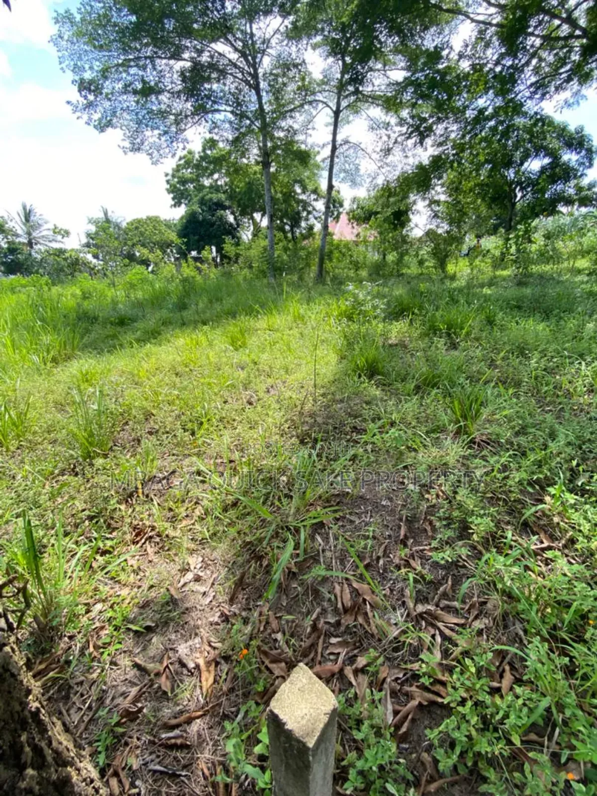 Plot for Sale at Mbezi Msumi