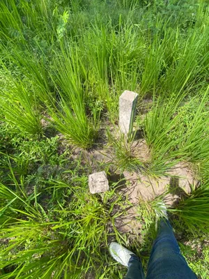 Plot for Sale at Mbezi Msumi