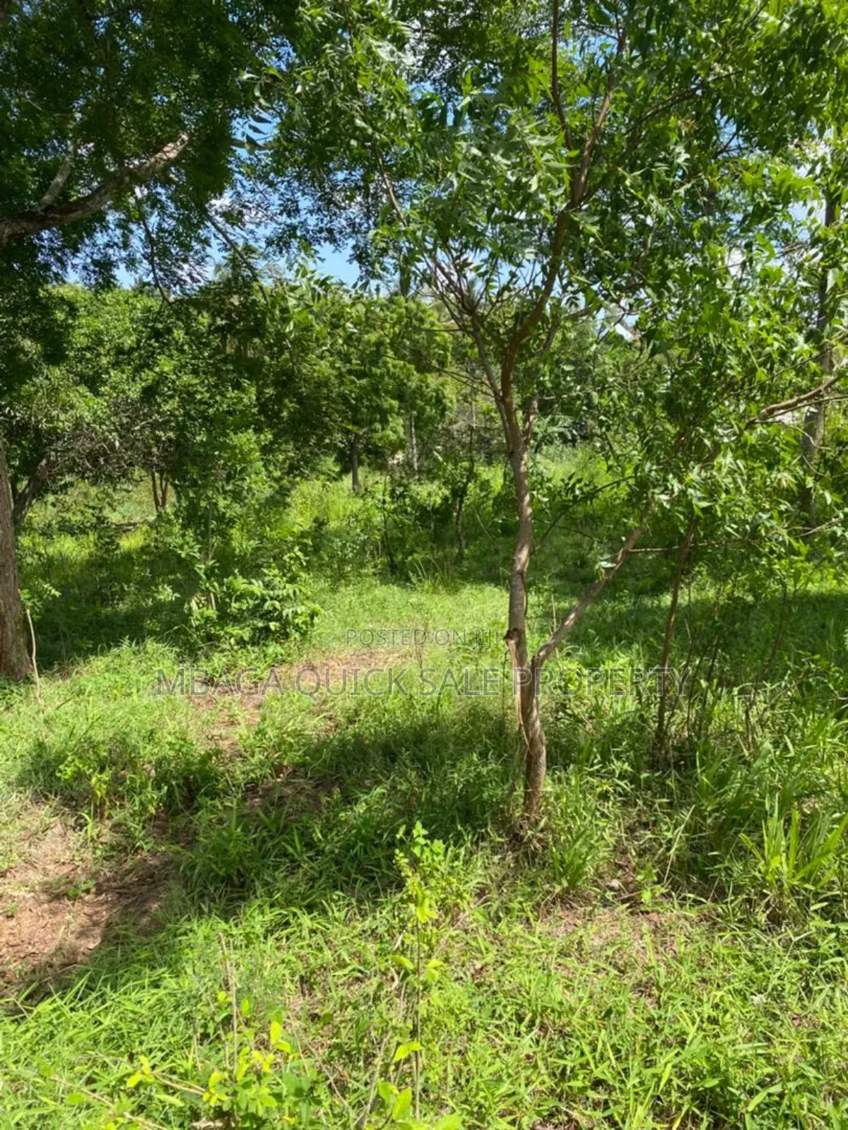 Plot for Sale at Mbezi Msumi