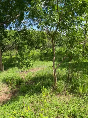 Plot for Sale at Mbezi Msumi