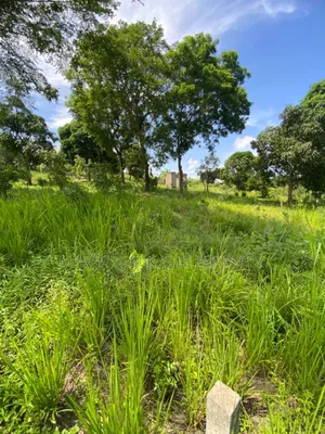 Plot for Sale at Mbezi Msumi