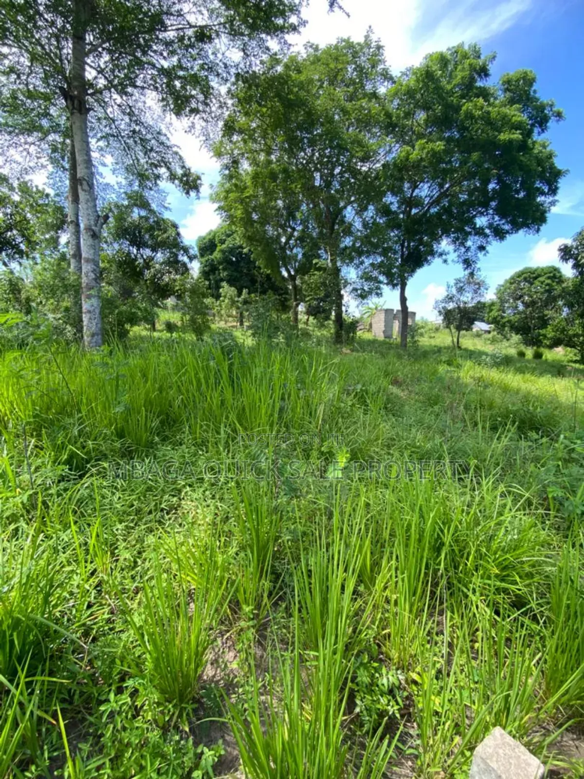 Plot for Sale at Mbezi Msumi