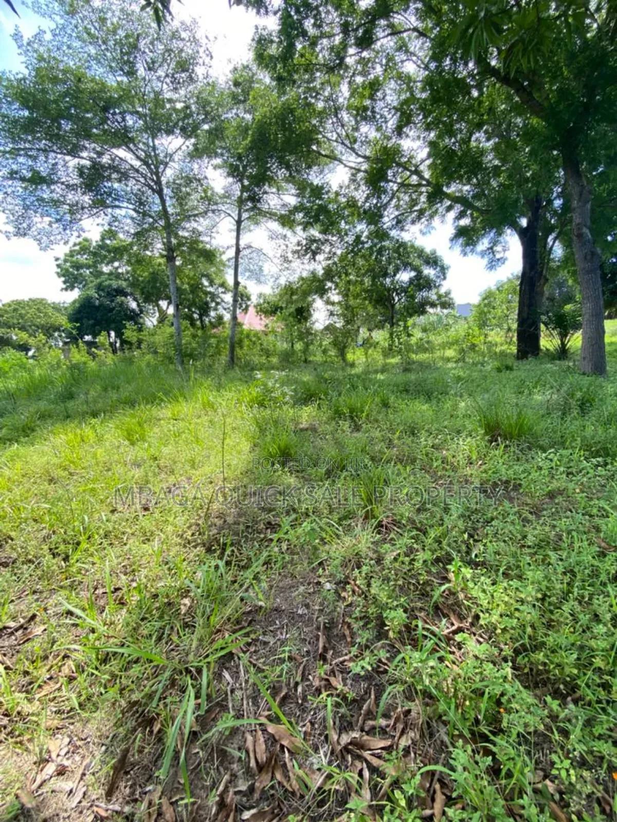 Plot for Sale at Mbezi Msumi