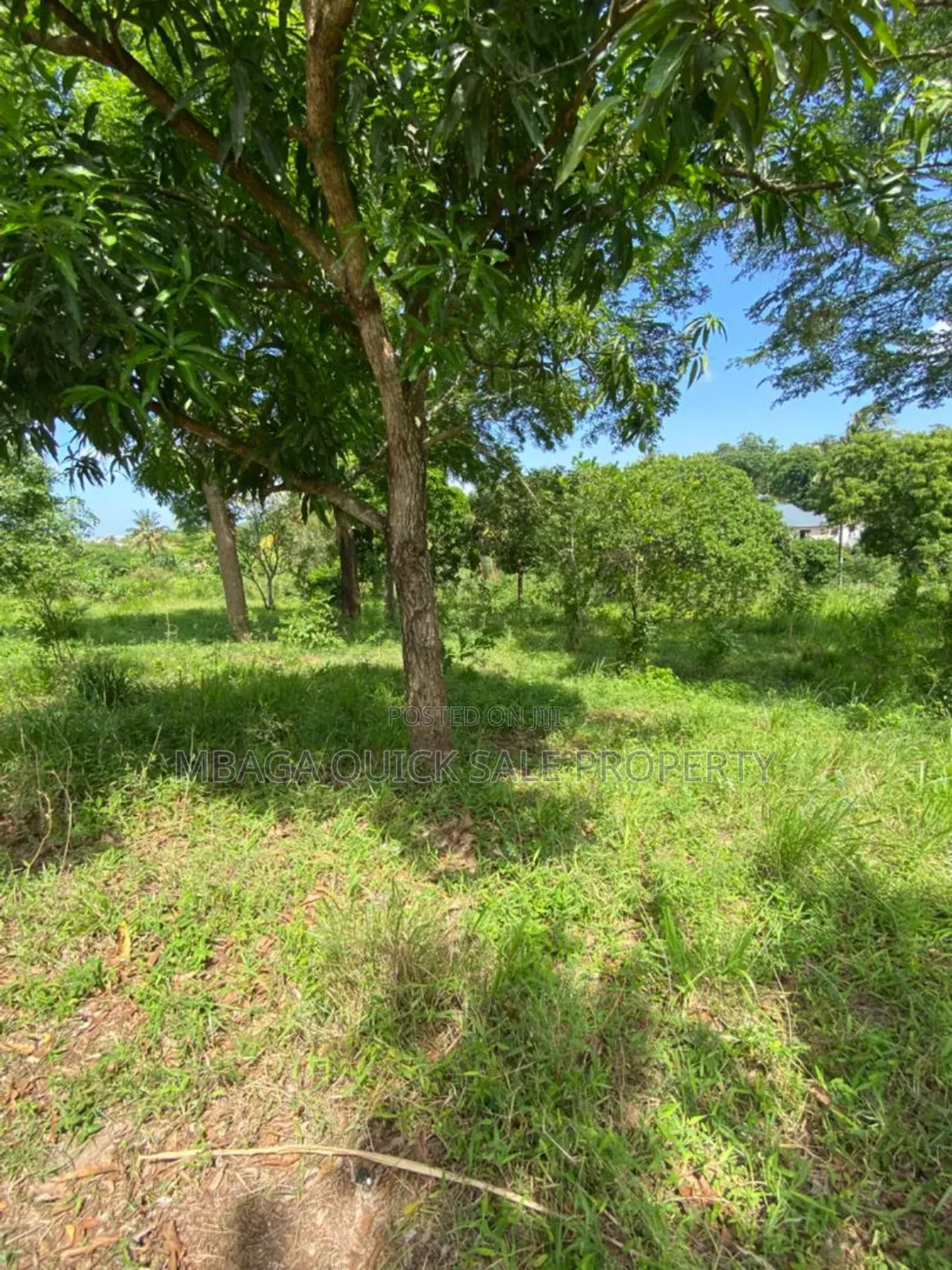 Plot for Sale at Mbezi Msumi