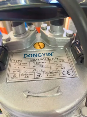 Dongyin Water Pump 1hp